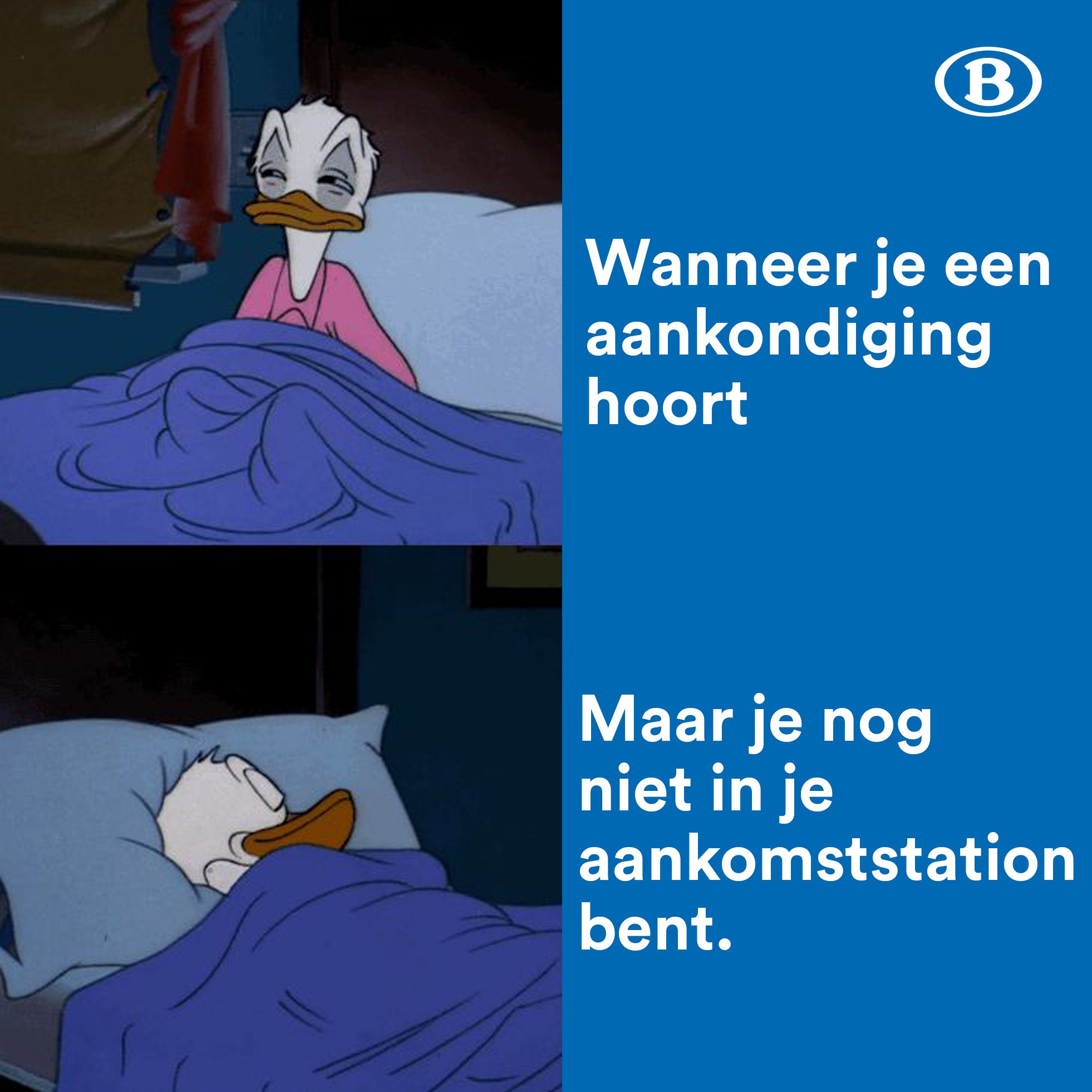 duck